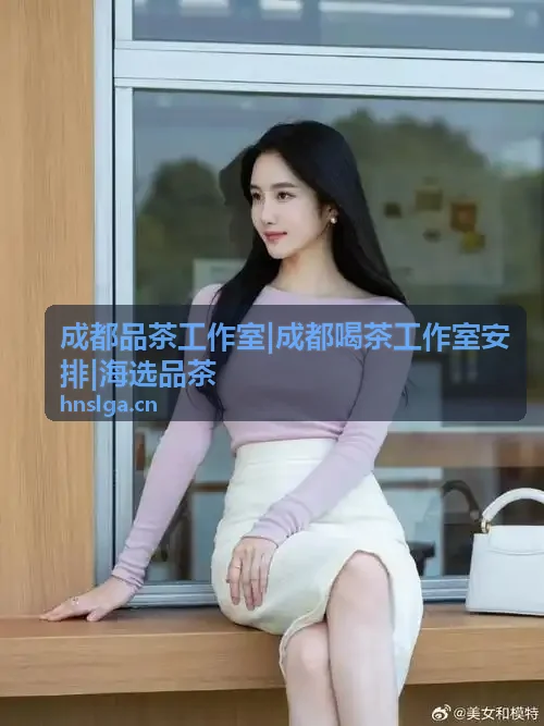 成都品茶工作室指南封面与目录摘要